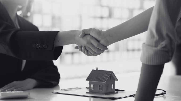 IMMOBILIER (6)